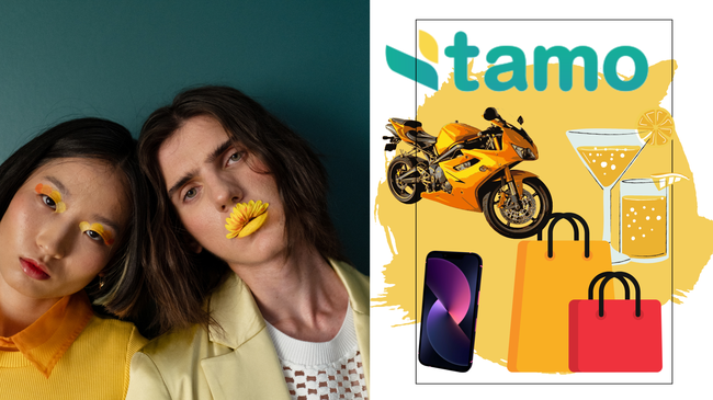 Tamo: Công ty này có hợp pháp không? Tất cả thông tin.