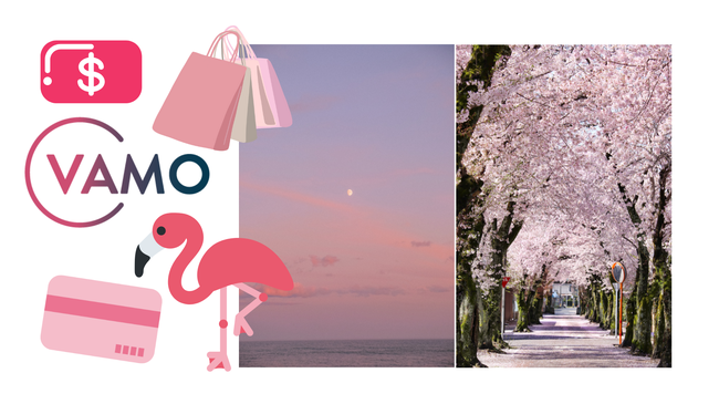 Vamo: làm thế nào để có được một khoản vay?