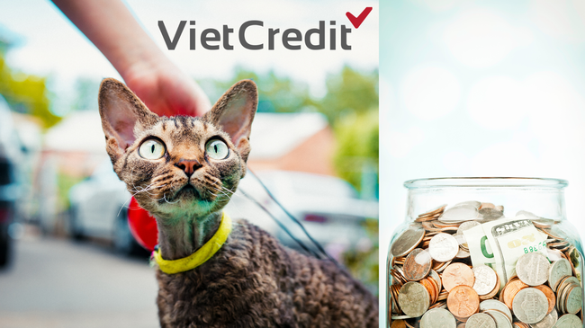Vietcredit- Giải quyết nhu cầu tài chính của bạn một cách đáng tin cậy với Vietcredit